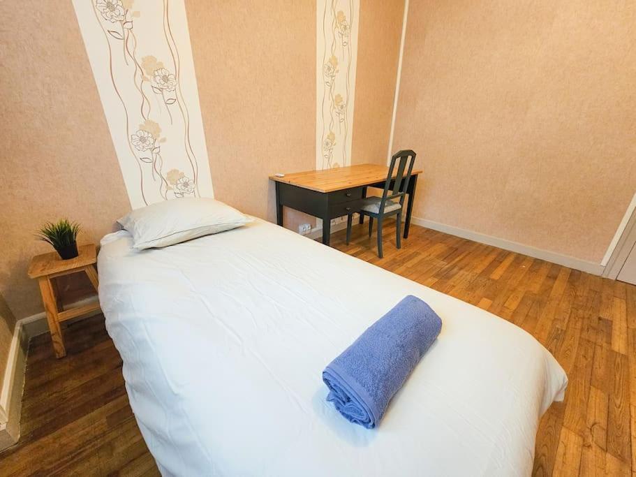 Le Bergson 3 Chambres Stationnement Gratuit سانت إتيان المظهر الخارجي الصورة